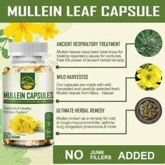 Nature’s Live Mullein Leaf Capsules | 1500mg | 60 Count | Support Lung Cleanse