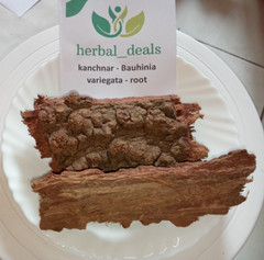 Patil Foods Bauhinia Variegata Bark Powder & Whole (Kachnar) – Herbal Use, Craft