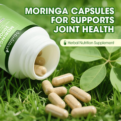 Moringa Oleifera Leaf Powder Organic Herbal Extract Immune Gut Health Support