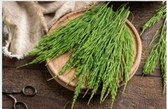 Horsetail (Shavegrass) Leaf | Whole Herb or Powder 1oz / 4oz / 8oz | Silica-Rich