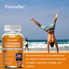 Glucosamine Chondroitin Turmeric MSM Joint Support – 120 Caps