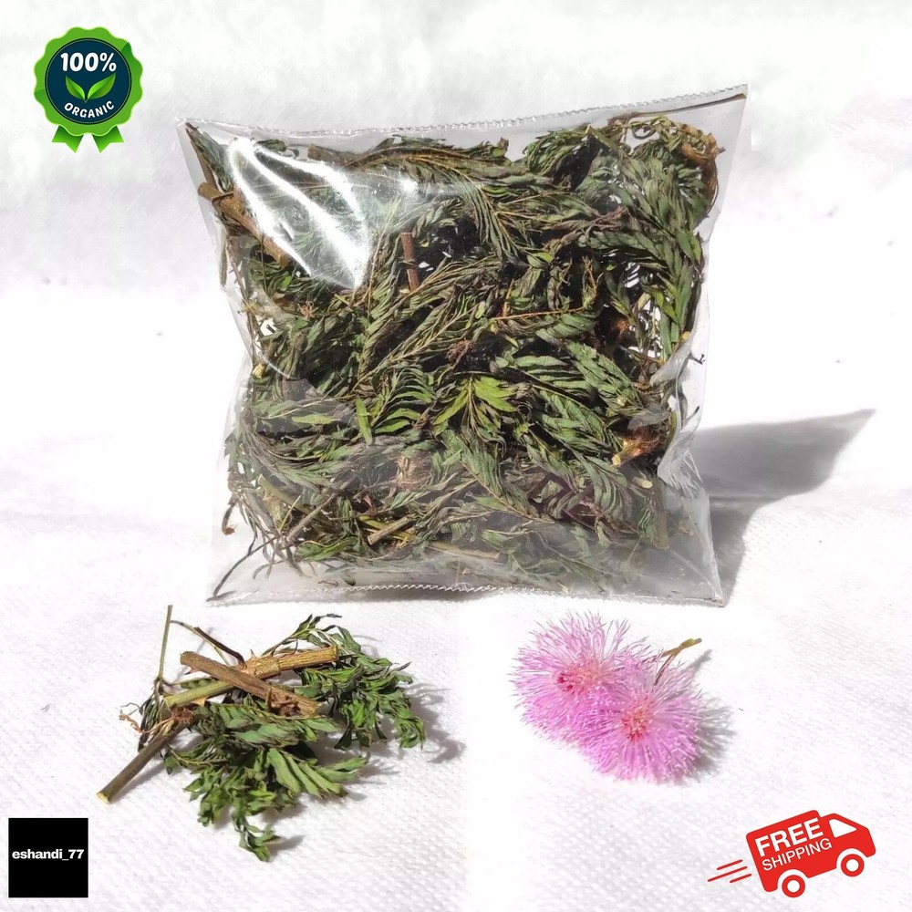 Dried MIMOSA PUDICA Sensitive Herbal Plant Root,Leaves,Flowers 100% Natural