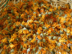 Calendula ~ Fresh Dried
