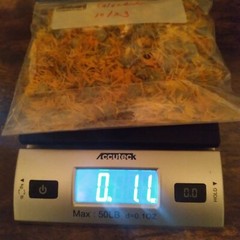 Organic Dried Calendula Marigold Flowers 100% Homegrown 1 Oz. 2023 Skincare Tea