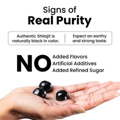 Better Alt Pure Himalayan Shilajit Gummies with 100% 60 Count (Pack of 1)