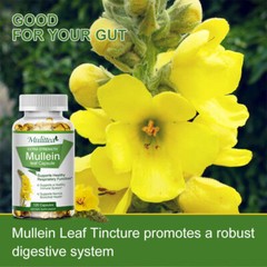 Mullein Leaf Capsules Extra Strength Support Respiratory Health Lung Detox 120Pc