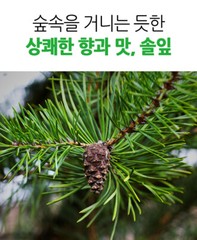100% Natural Pine Leaf Powder 300g Medicinal Korean Herbal Powder Made Korea