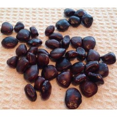 Tamarind Seeds Imli Beej Imli املی Seed Natural Premium quality Free shipping*