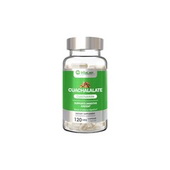Cuachalalate