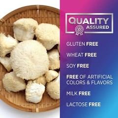 Mushrooms Lions Mane Powder 10.000 mg 100% Vegan Gluten-Free Organic Extract Cap