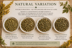Organic Agrimony Herb & Powder Leaf | Whole Herb 1oz/4oz/8oz Natural Detox