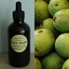 Black Walnut Extract/Tincture 4 oz Organic Juglans nigra Green Forest Hideaway