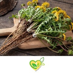 Dandelion Leaf Cut & Sifted Organic Herb Natural 28.3g Certified Kosher 1 OZ Bag