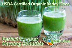 Barley Grass Powder – USDA Certified Organic Barley Grass Powder – Non-GMO