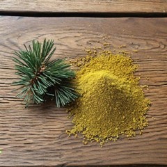 Pine Extract Pine Tincture Liquid Dual Extract Suramin Shikimic Acid Pure USA