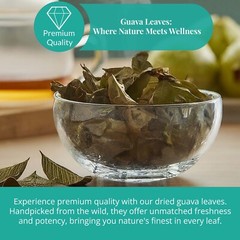 Dried Guava Leaves, Hojas de Guayaba, Psidium Guajava, Guava Leaf Tea, 2.6oz