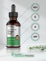 Ginger Root Liquid Extract | 2 fl oz | Alcohol Free | Vegetarian | by Horbaach