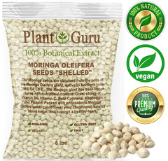 Moringa Oleifera Seeds Kernel SHELLED Fresh Organic Semilla De Moringa Bulk