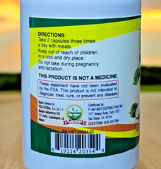 Guanabana Soursop Moringa Curcuma Turmeric 90 Capsules Antioxidants by Plantimex