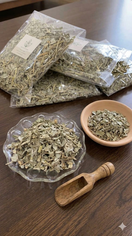 Atriplex Halimus Herb Dried Fresh Natural 100% Pure AA القطف عشبة القطف – رغل