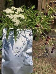 Dried Elderberries Wild Harvest Garden Organic Whole 4 oz U.S. Grown Craft