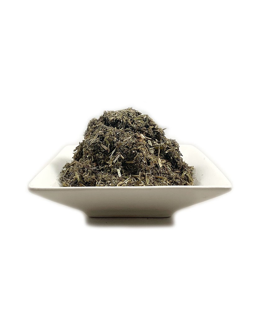Organic Mugwort (Artemisia vulgaris) Cut & Sifted FRESH 50g (2oz) FREE SAMPLE