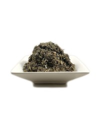 Organic Mugwort (Artemisia vulgaris) Cut & Sifted FRESH – 25g (1oz) FREE SAMPLE