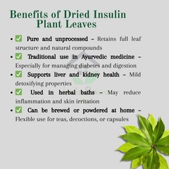 Natural Insulin Plant Leaves Capsules (600mg) Organic Herbal Costus Igneus Pure