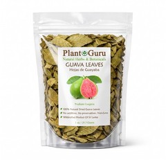 Dried Guava Leaves – Natural Psidium Guajava Tea Leaves, Hojas de Guayaba