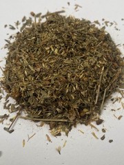 Calea Zacatechichi ~ Mexican Dream Herb 1 oz.