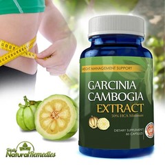 Noni Fruit Support Immune Support Supplement Garcinia Cambogia Weight Management