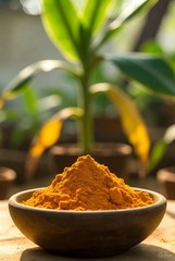 Turmeric Powder 100% Organic