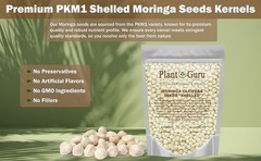 Moringa Seeds Kernel Shelled 16 oz. / 1 lb. – Clean PKM1 Variety – Edible –