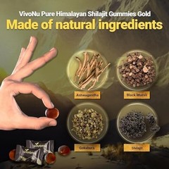 VivoNu Pure Himalayan Shilajit Gummies 3000mg Ashwagandha, Fulvic Acid, 60 Count