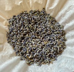Lavender Flower Lavandula x intermedia cut and sifted Herb Herbal 1 oz