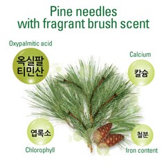 100% Korean Natural Pine Needle Powder Medicinal Herbal Tea+Track Num.솔잎분말