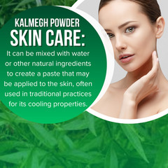 Kalmegh Powder Andrographis Paniculata Green Chiretta Help Detoxify Liver 5.3 oz