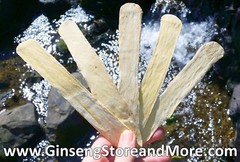 Whole Astragalus Root Slices | Premium Quality | Huang Qi | Extra Large