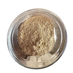 50g Date Palm Pollen Power لقاح النخيل (طلع النخيل) – Pure Natural Palm Pollen