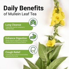 Mullein Tea Bags For Lung Cleanse Herbal Leaf of Flowers Detox Enhance Immune