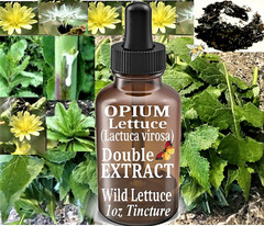 1 oz STRONG WILD LETTUCE Tincture w/Extract Paste 100% Natural 2X Pain Relief ++