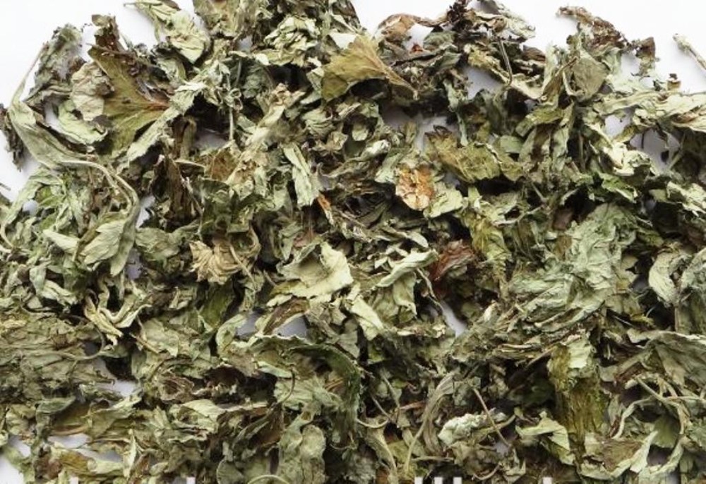 Mugwort Artemisia Argyi Wormwood Ai Ye 艾葉 7oz/15oz US Seller