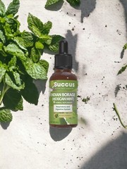 Indian Borage (Mexican Mint) Tincture- Respiratory Support