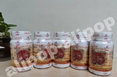 Gano Excel Ganoderma Lucidum (Lingzhi) – 90 Capsules x 5 bottles