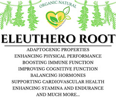 Eleuthero Tincture – Organic Herbal Extract Liquid Drops Energy & Stress 2 FL OZ
