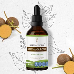 Secrets Of The Tribe Stephania Root Tincture