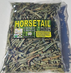 Horsetail,Shavegrass,Shave grass ,Field horsetail,Common horse tail,Equisetum !!