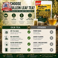 WOTIHA 65 Count Value Pack Premium Mullein Leaf Tea Bags – 100% Pure Natural Her