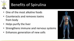 immune system booster – ANTI-PARASITE – SPIRULINA COMBO 2B – black walnut powder
