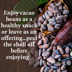 ORA Whole Cacao Beans, 10Oz – Organic, Ethical, Regenerative, Heavy Metals Teste
